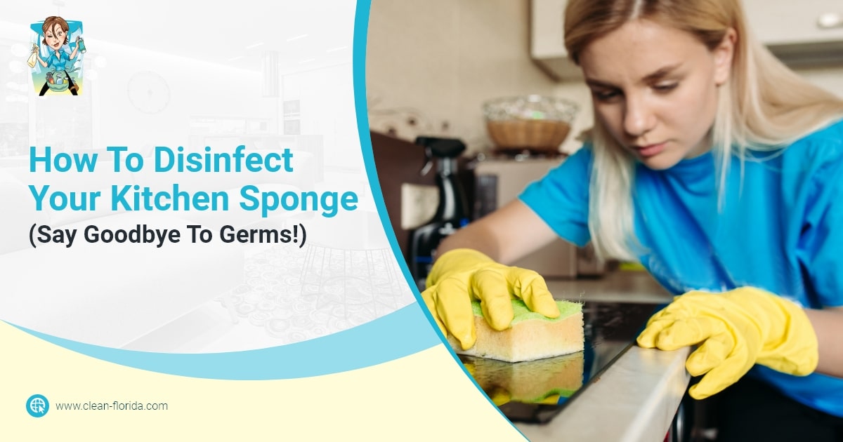 How To Disinfect Your Kitchen Sponge Say Goodbye To Germs 