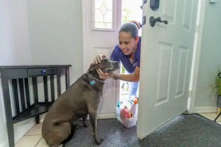 A Pet-friendly Cleaning Professional entering a client's home