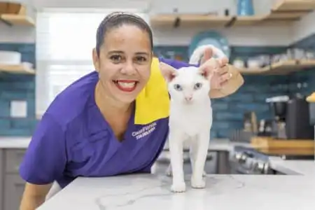 Pet-friendly House Cleaner with a customer's cat