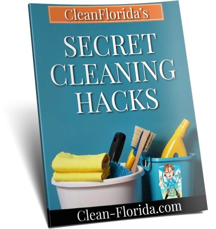 Secret Cleaning Hacks 3d