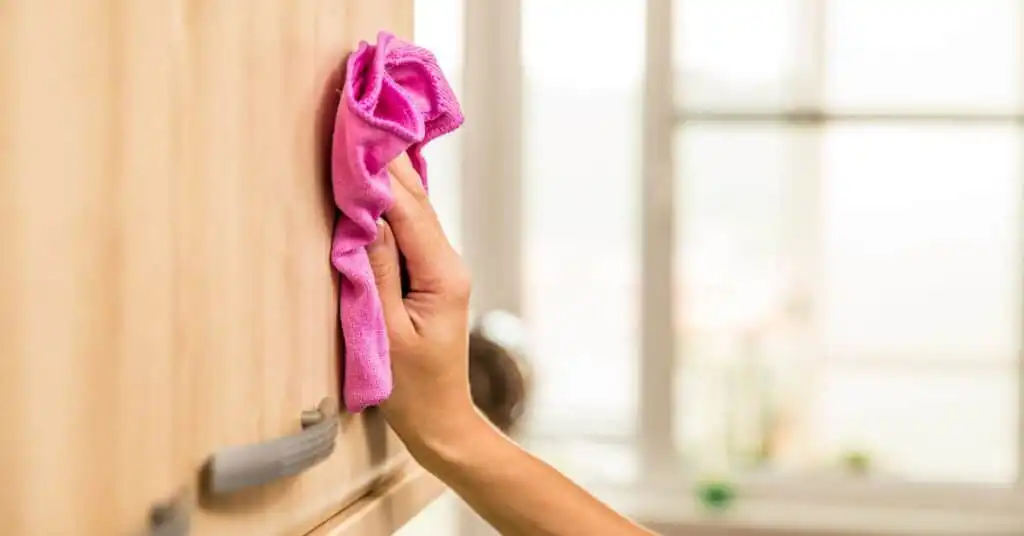Fun cleaning tips Fort Myers