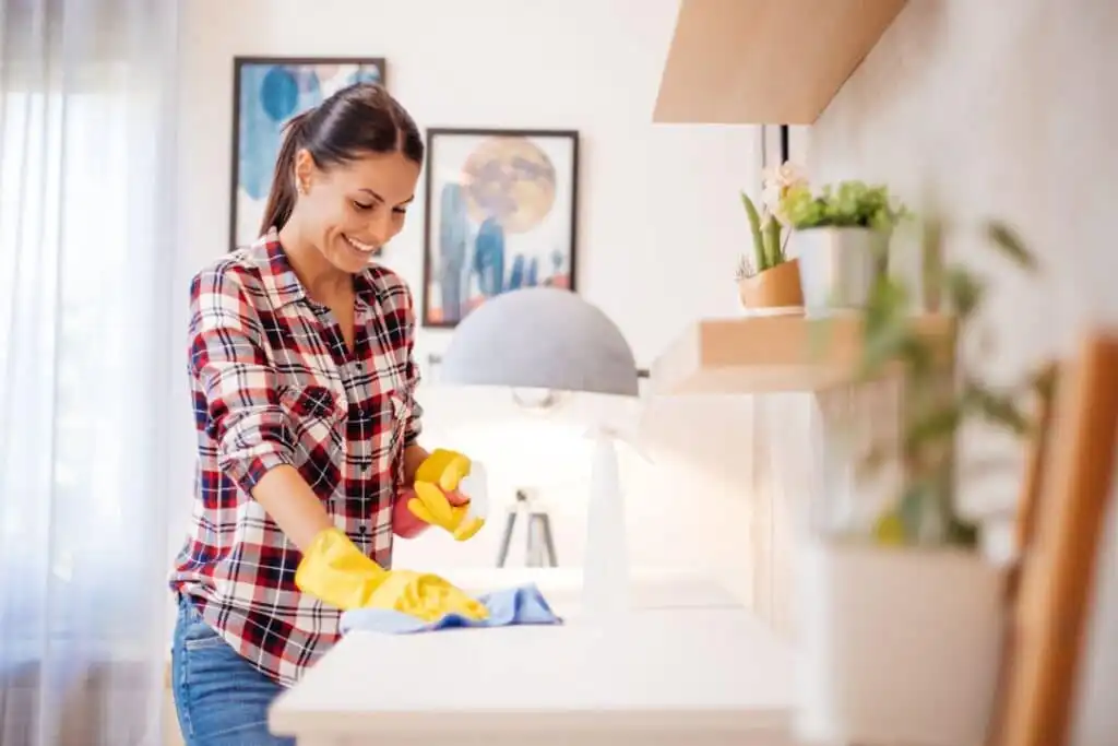 Fun cleaning tips Fort Myers